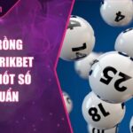 Dàn đề Rồng Bạch Kim Rikbet